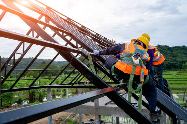 Best Roof Gutter Cleaning  in Haviland, NY
